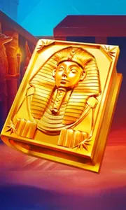 Book of Gold Multichance